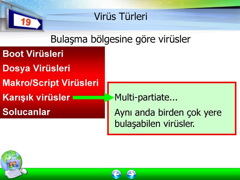 Türleri Bulaşma bölgesine göre virüsler