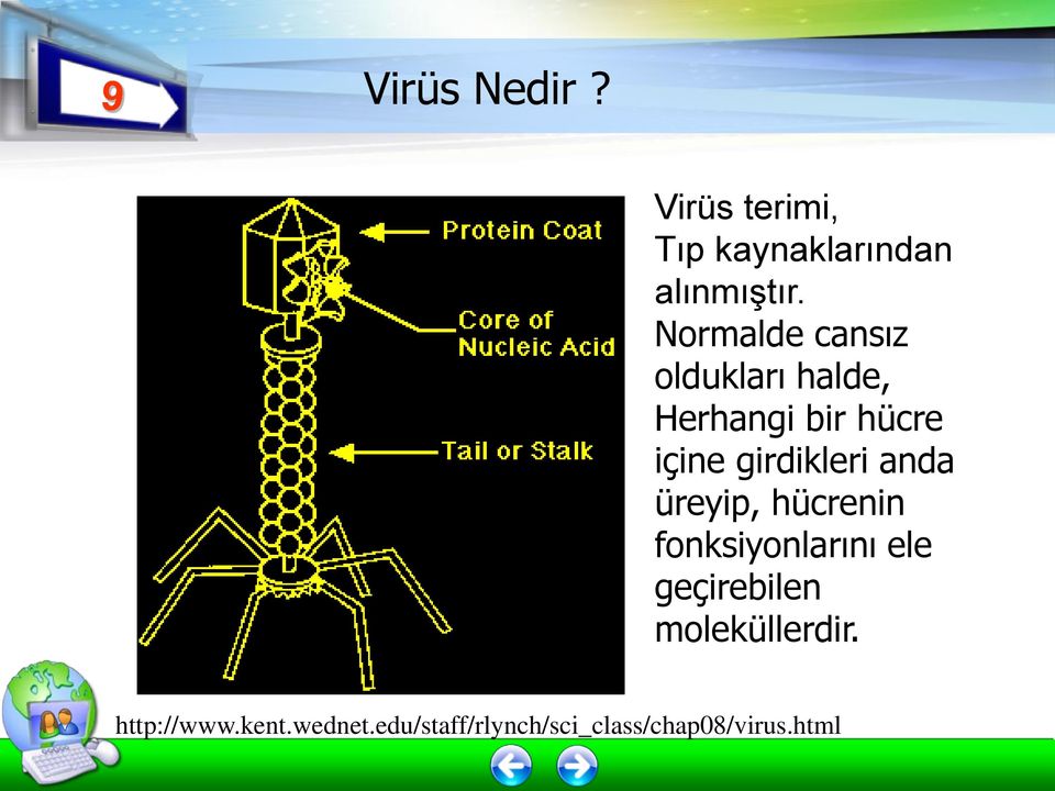 girdikleri anda üreyip, hücrenin fonksiyonlarını ele geçirebilen