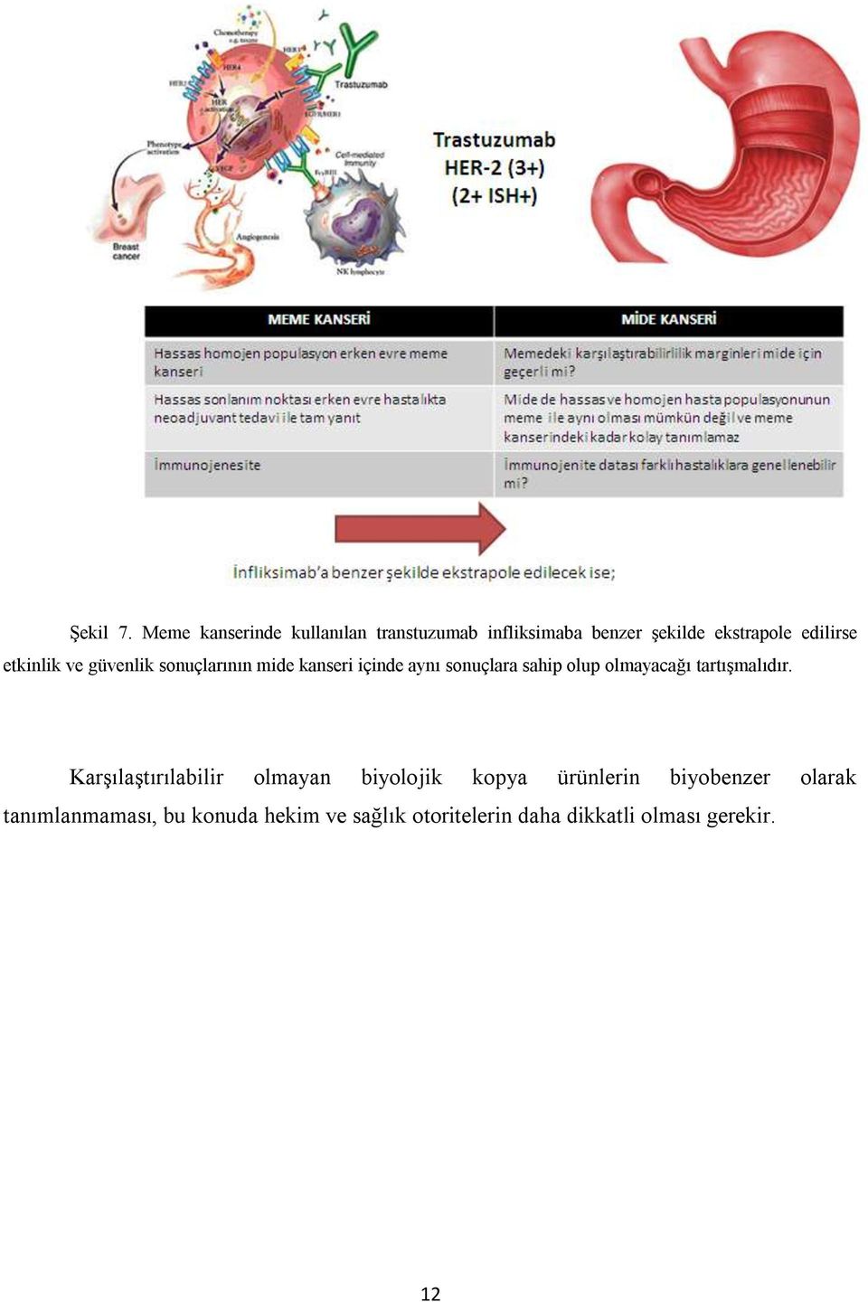 etkinlik ve güvenlik sonuçlarının mide kanseri içinde aynı sonuçlara sahip olup olmayacağı