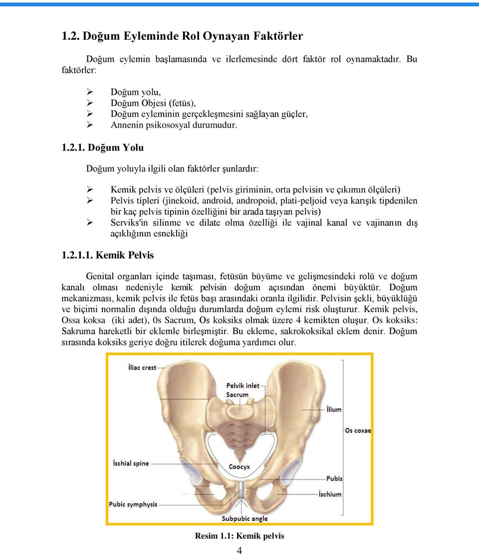 2.1. Doğum Yolu Doğum yoluyla ilgili olan faktörler Ģunlardır: Kemik pelvis ve ölçüleri (pelvis giriminin, orta pelvisin ve çıkımın ölçüleri) Pelvis tipleri (jinekoid, android, andropoid,