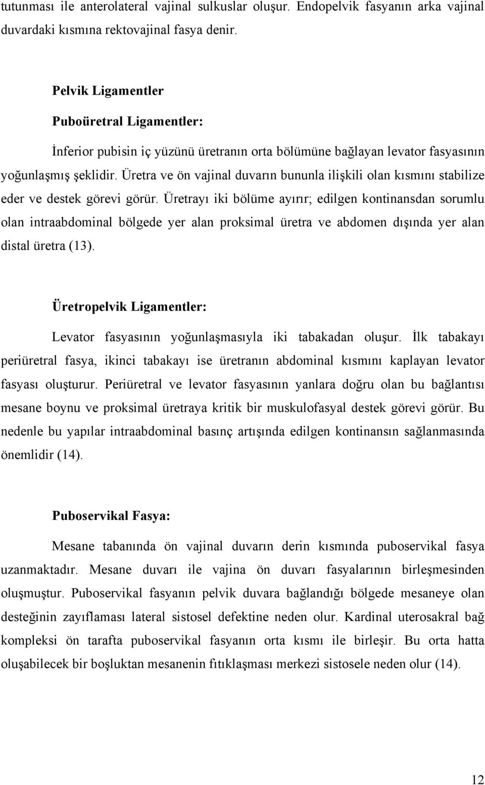 Üretra ve ön vajinal duvarın bununla ilişkili olan kısmını stabilize eder ve destek görevi görür.