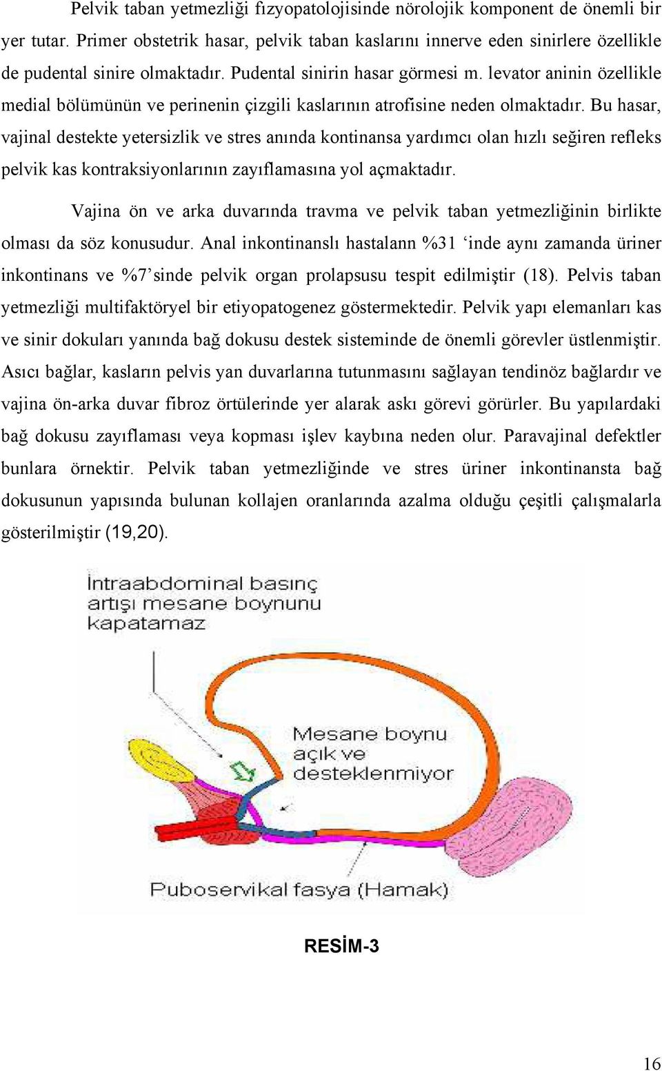 Bu hasar, vajinal destekte yetersizlik ve stres anında kontinansa yardımcı olan hızlı seğiren refleks pelvik kas kontraksiyonlarının zayıflamasına yol açmaktadır.