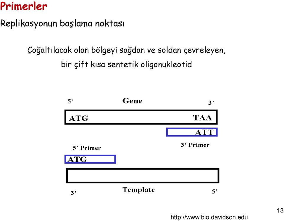 soldan çevreleyen, bir çift kısa