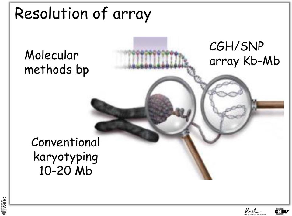 CGH/SNP array array Mb-Kb