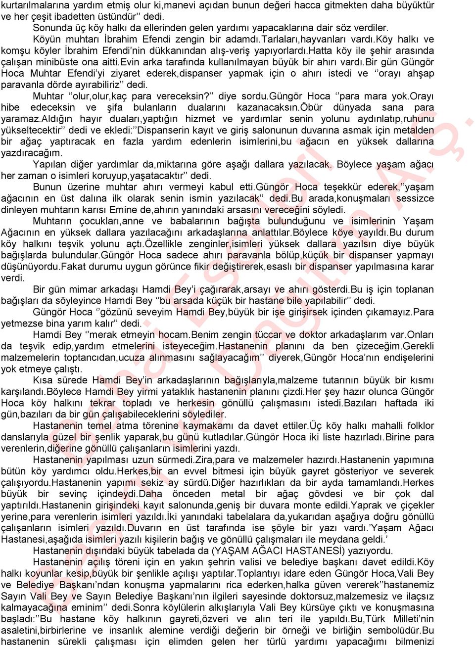 köy halkı ve komşu köyler İbrahim Efendi nin dükkanından alış-veriş yapıyorlardı.hatta köy ile şehir arasında çalışan minibüste ona aitti.evin arka tarafında kullanılmayan büyük bir ahırı vardı.