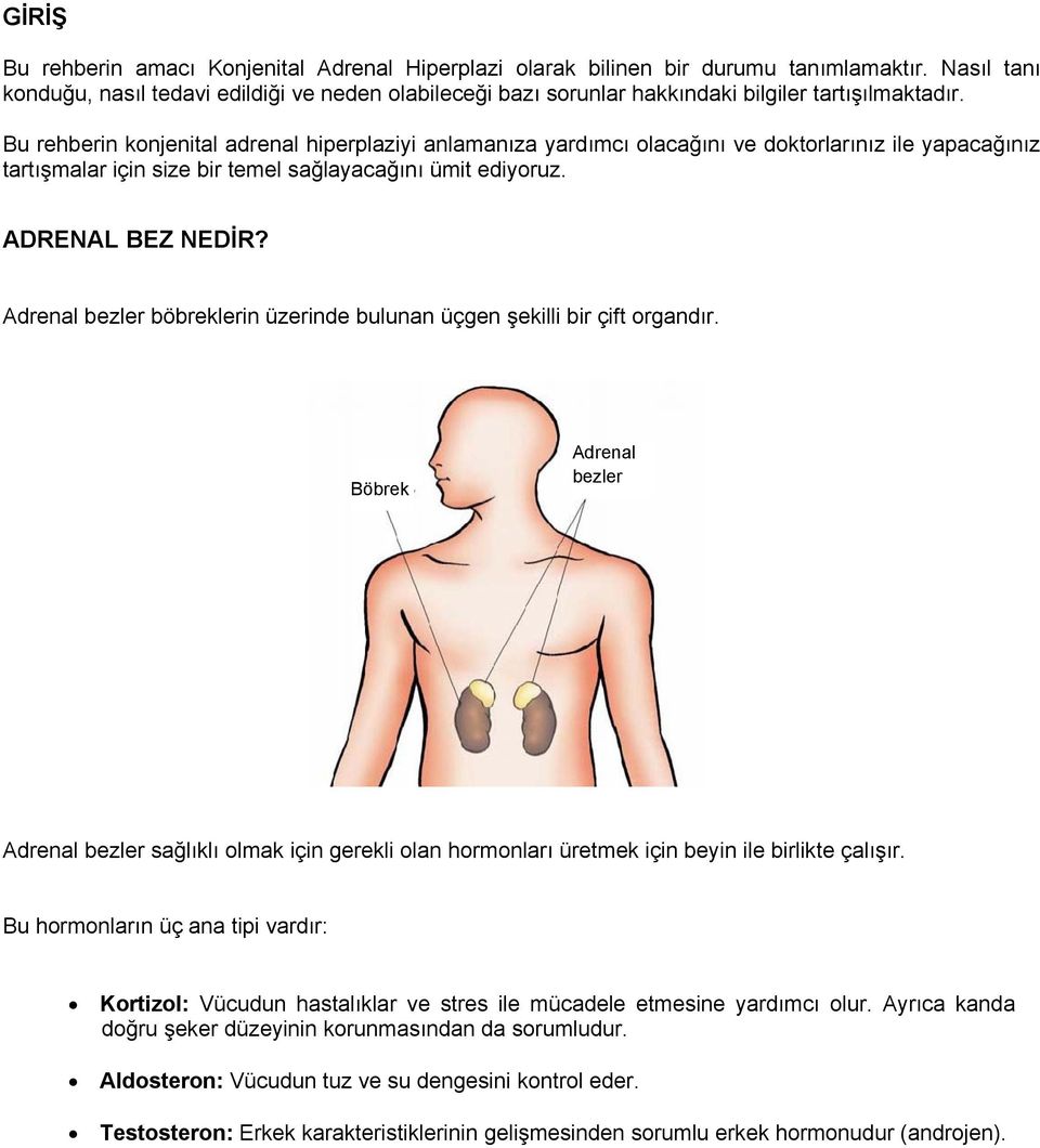 Bu rehberin konjenital adrenal hiperplaziyi anlamanıza yardımcı olacağını ve doktorlarınız ile yapacağınız tartışmalar için size bir temel sağlayacağını ümit ediyoruz. ADRENAL BEZ NEDİR?