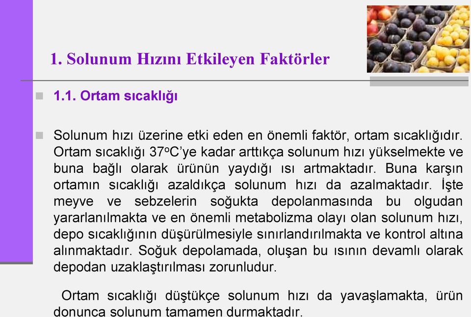 Buna karşın ortamın sıcaklığı azaldıkça solunum hızı da azalmaktadır.