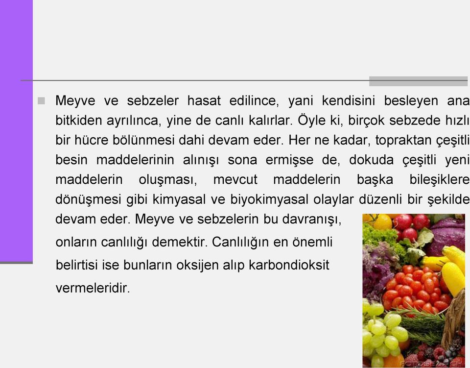 Her ne kadar, topraktan çeşitli besin maddelerinin alınışı sona ermişse de, dokuda çeşitli yeni maddelerin oluşması, mevcut maddelerin