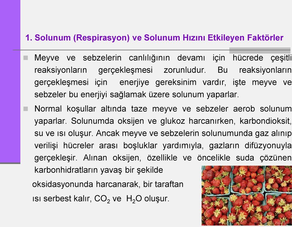 Normal koşullar altında taze meyve ve sebzeler aerob solunum yaparlar. Solunumda oksijen ve glukoz harcanırken, karbondioksit, su ve ısı oluşur.