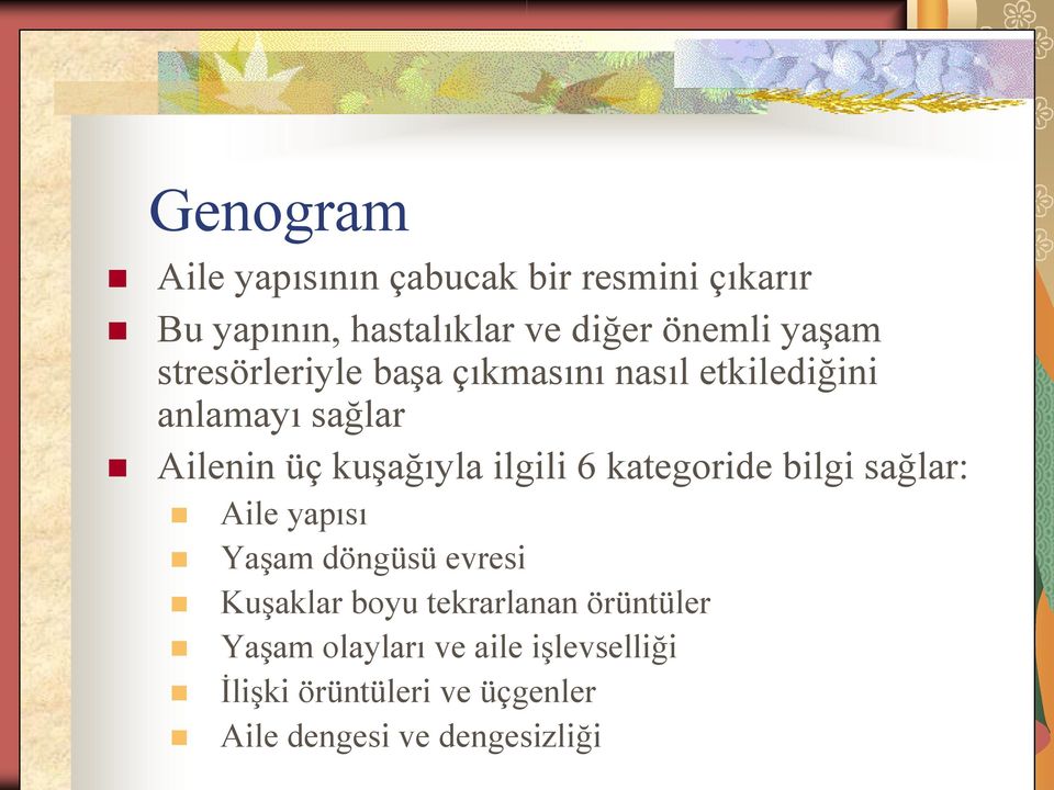 ilgili 6 kategoride bilgi sağlar: Aile yapısı Yaşam döngüsü evresi Kuşaklar boyu tekrarlanan