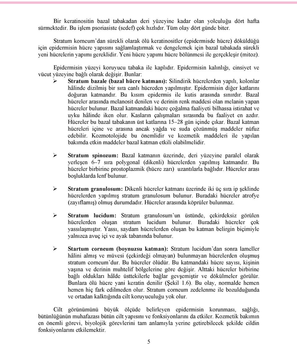 gereklidir. Yeni hücre yapımı hücre bölünmesi ile gerçekleşir (mitoz). Epidermisin yüzeyi koruyucu tabaka ile kaplıdır. Epidermisin kalınlığı, cinsiyet ve vücut yüzeyine bağlı olarak değişir.