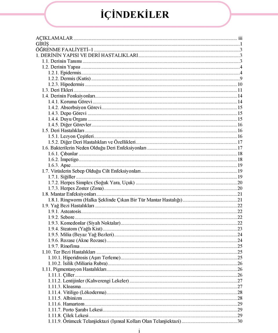 ..16 1.5. Deri Hastalıkları...16 1.5.1. Lezyon Çeşitleri...16 1.5.2. Diğer Deri Hastalıkları ve Özellikleri...17 1.6. Bakterilerin Neden Olduğu Deri Enfeksiyonları...17 1.6.1. Çıbanlar...18 1.6.2. İmpetigo.