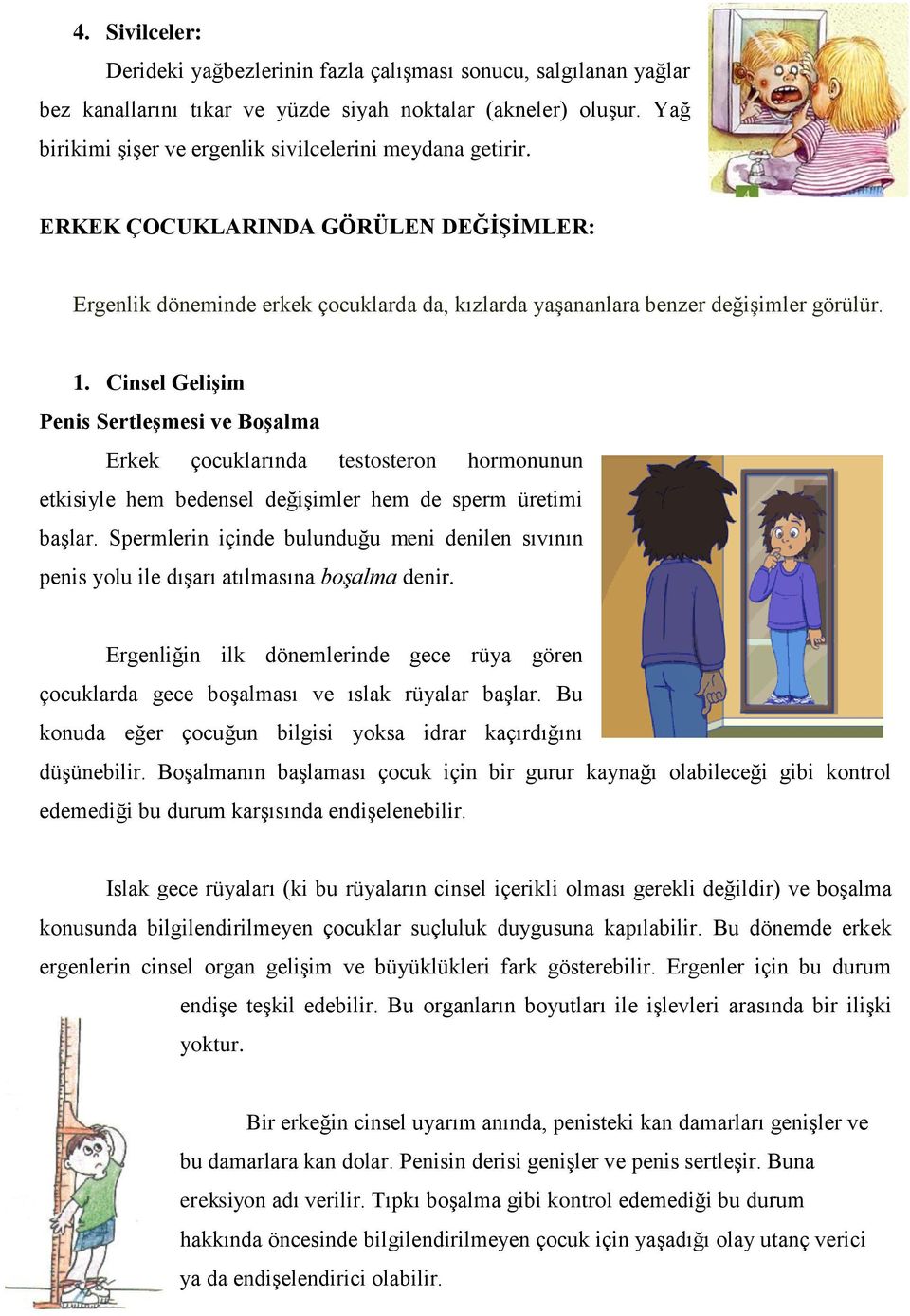 Cinsel Gelişim Penis Sertleşmesi ve Boşalma Erkek çocuklarında testosteron hormonunun etkisiyle hem bedensel değişimler hem de sperm üretimi başlar.