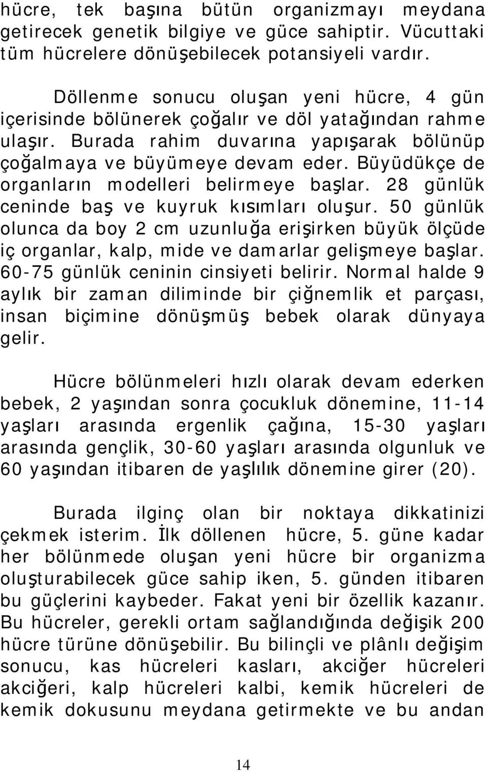 Büyüdükçe de organların modelleri belirmeye başlar. 28 günlük ceninde baş ve kuyruk kısımları oluşur.