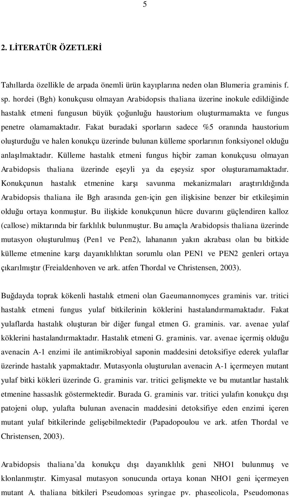 Fakat buradaki sporların sadece %5 oranında haustorium oluşturduğu ve halen konukçu üzerinde bulunan külleme sporlarının fonksiyonel olduğu anlaşılmaktadır.