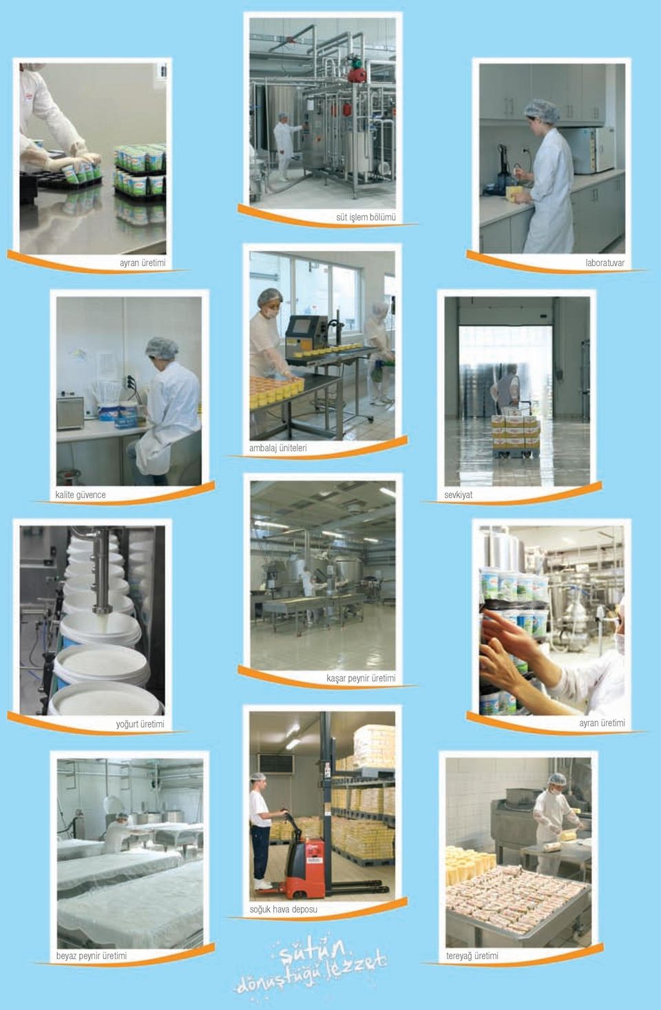 peynir üretimi yoğurt üretimi ayran üretimi