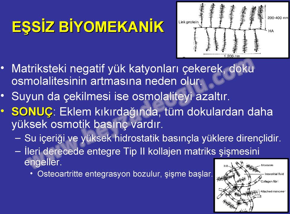 SONUÇ: SONUÇ Eklem kıkırdağında, tüm dokulardan daha yüksek osmotik basınç vardır.