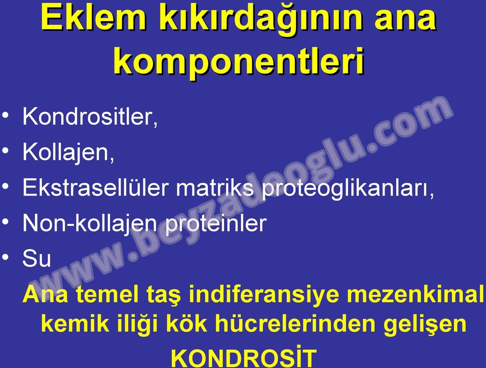 Non-kollajen proteinler Su Ana temel taş