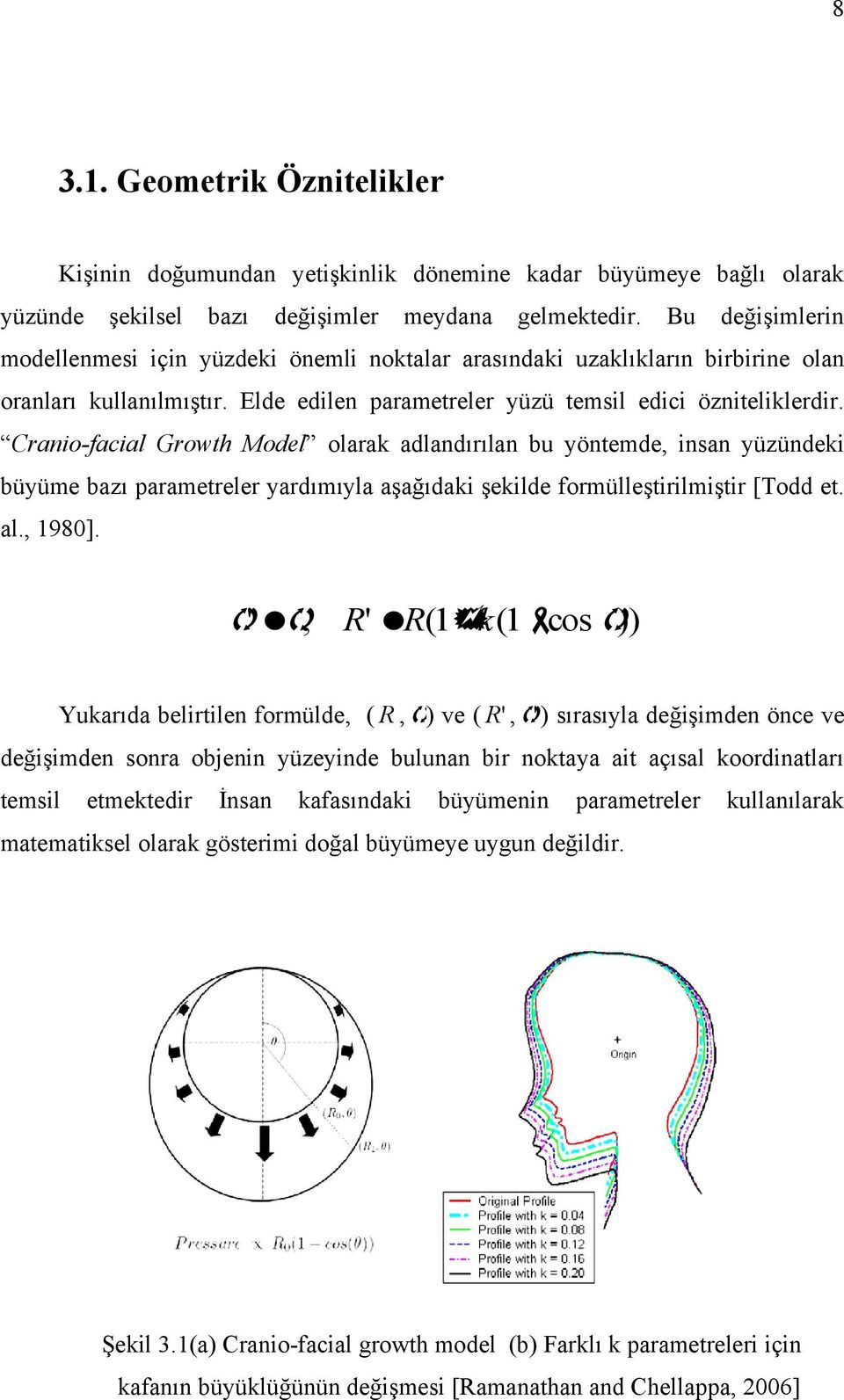 Cranio-facial Growth Model olarak adlandırılan bu yöntemde, insan yüzündeki büyüme bazı parametreler yardımıyla aşağıdaki şekilde formülleştirilmiştir [Todd et. al., 1980].