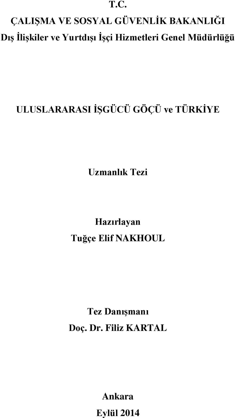 İŞGÜCÜ GÖÇÜ ve TÜRKİYE Uzmanlık Tezi Hazırlayan Tuğçe Elif