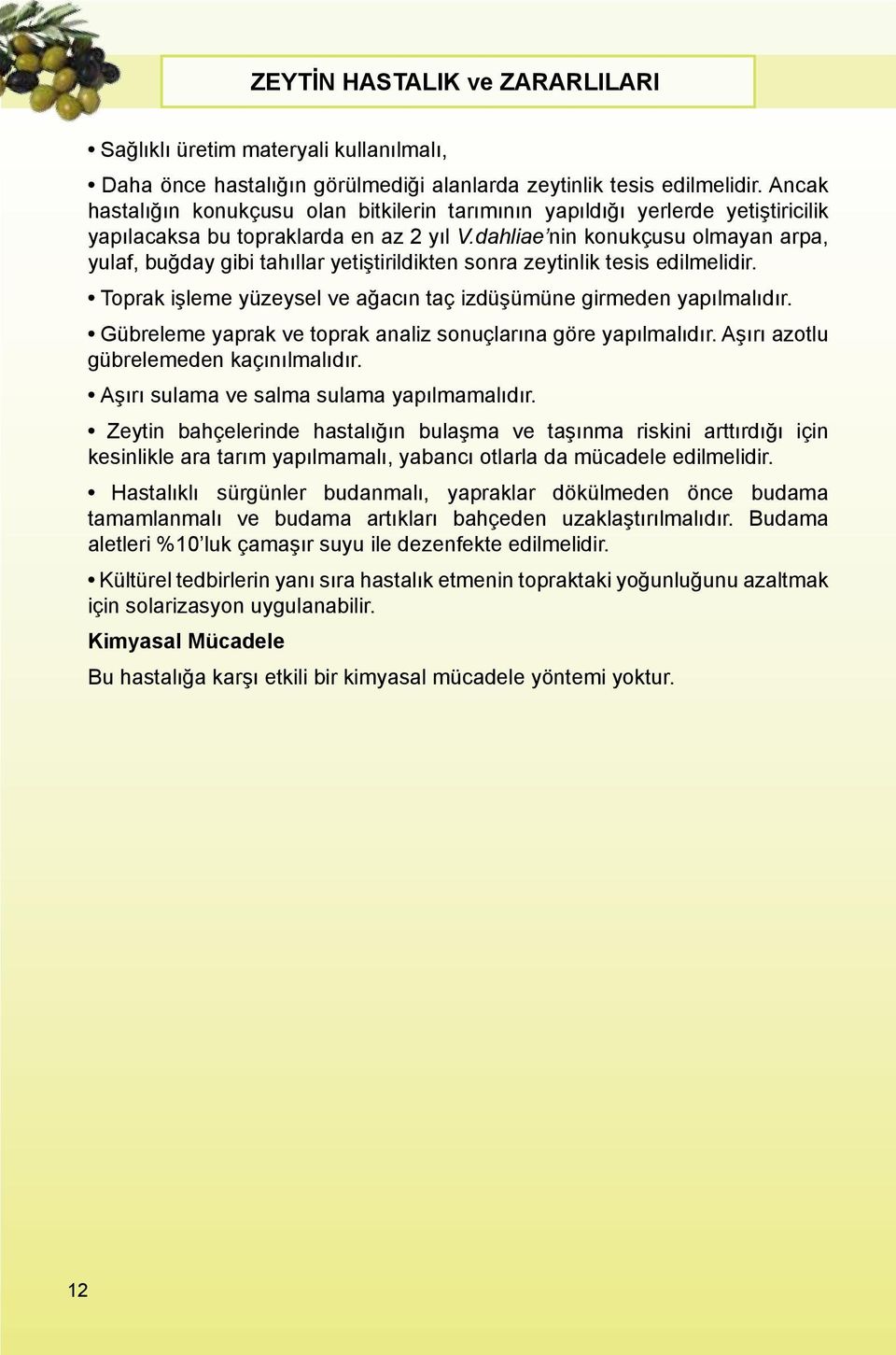 dahliae nin konukçusu olmayan arpa, yulaf, buğday gibi tahıllar yetiştirildikten sonra zeytinlik tesis edilmelidir. Toprak işleme yüzeysel ve ağacın taç izdüşümüne girmeden yapılmalıdır.