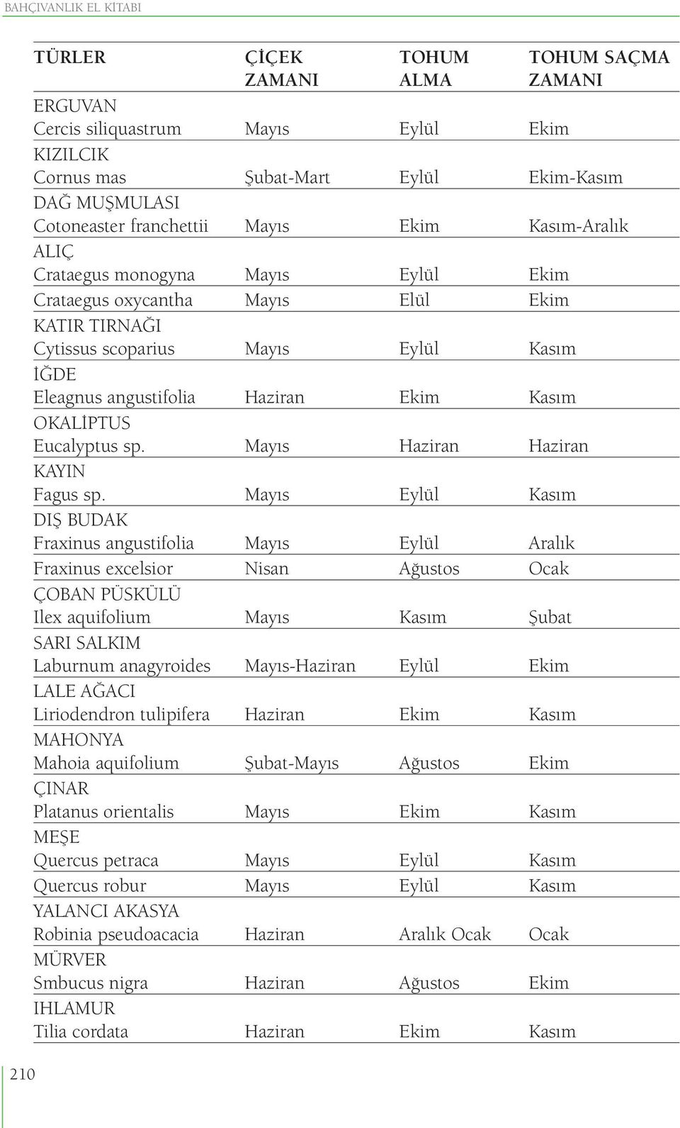 Ekim Kasım OKALİPTUS Eucalyptus sp. Mayıs Haziran Haziran KAYIN Fagus sp.