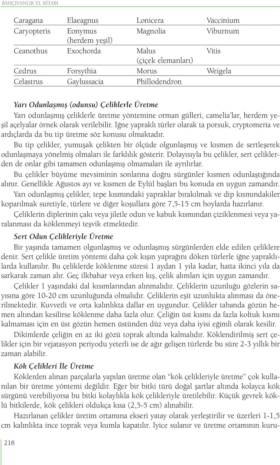 İğne yapraklı türler olarak ta porsuk, cryptomeria ve ardıçlarda da bu tip üretme söz konusu olmaktadır.