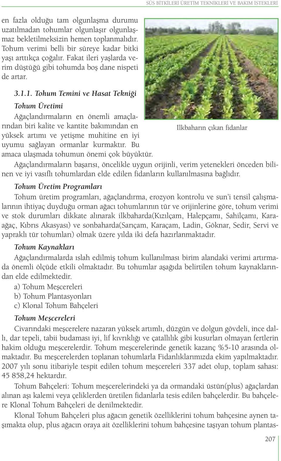 1. Tohum Temini ve Hasat Tekniği Tohum Üretimi Ağaçlandırmaların en önemli amaçlarından biri kalite ve kantite bakımından en İlkbaharın çıkan fidanlar yüksek artımı ve yetişme muhitine en iyi uyumu