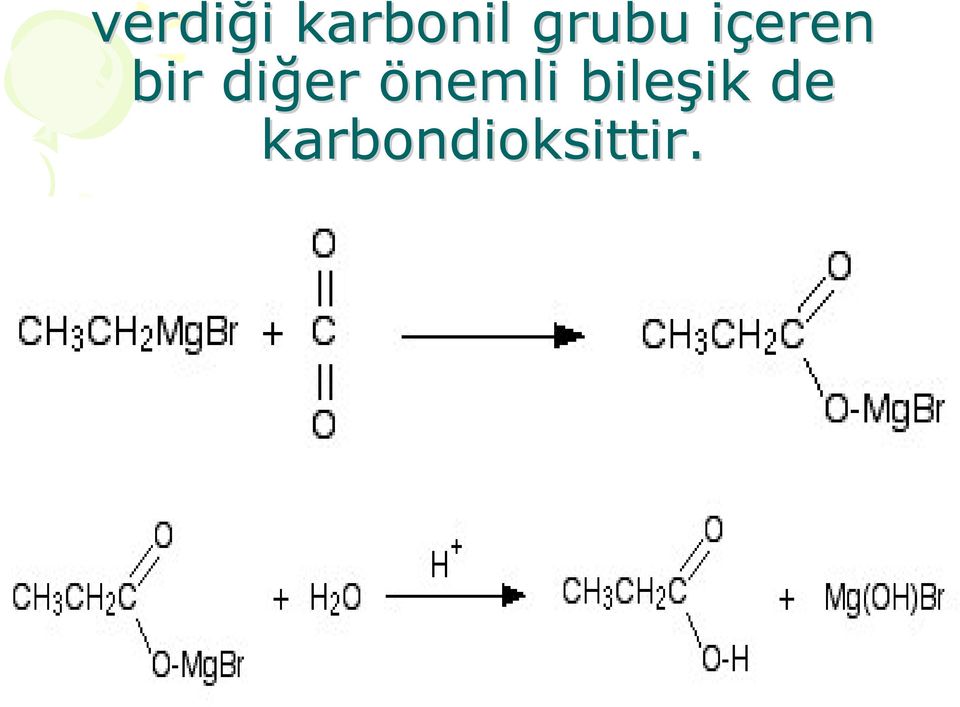 diğer önemli