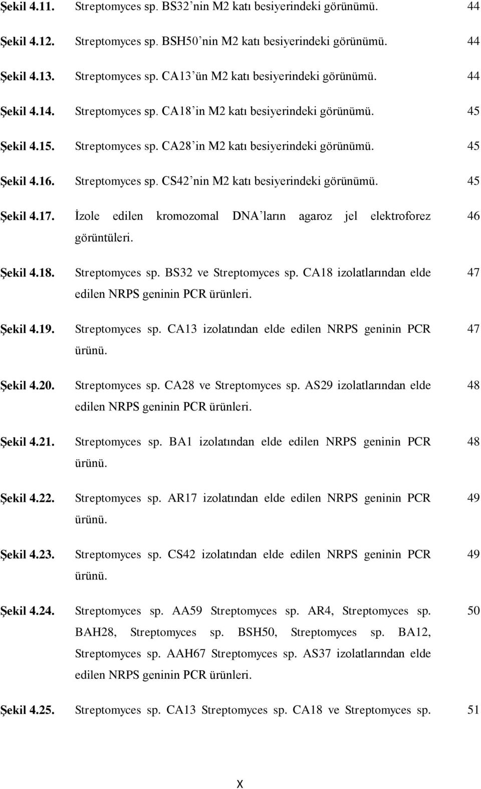 45 Şekil 4.17. İzole edilen kromozomal DNA ların agaroz jel elektroforez görüntüleri. 46 Şekil 4.18. Streptomyces sp. BS32 ve Streptomyces sp.