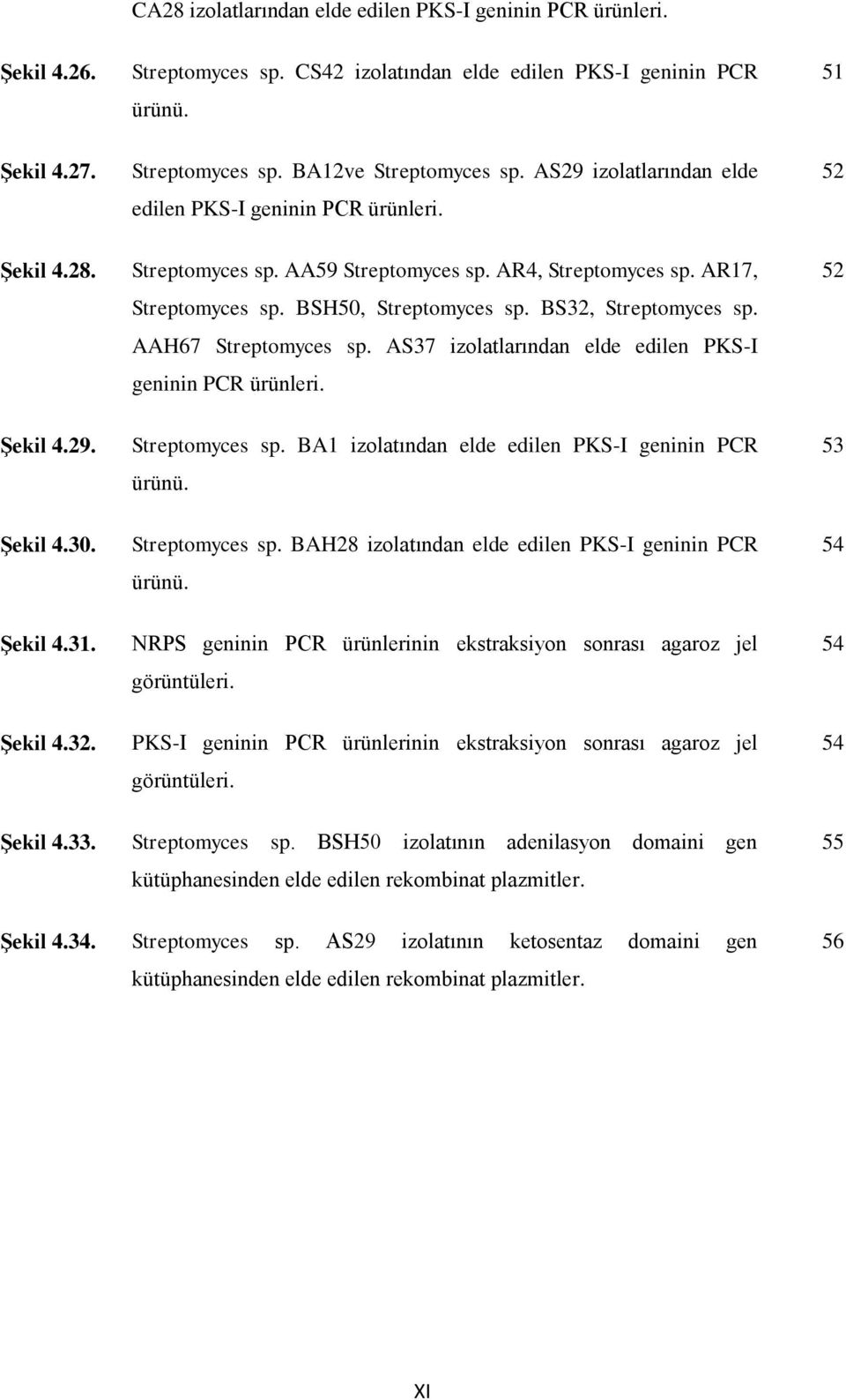 BS32, Streptomyces sp. AAH67 Streptomyces sp. AS37 izolatlarından elde edilen PKS-I geninin PCR ürünleri. 52 Şekil 4.29. Streptomyces sp. BA1 izolatından elde edilen PKS-I geninin PCR ürünü.