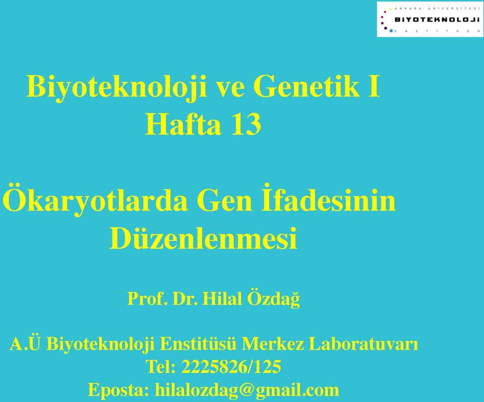 Dr. Hilal Özdağ A.