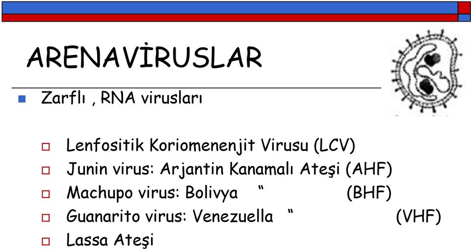 Arjantin Kanamalı Ateşi (AHF) Machupo virus: