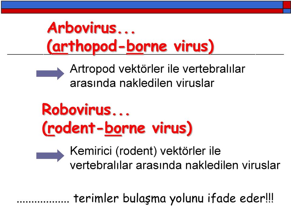 arasında nakledilen viruslar Robovirus.