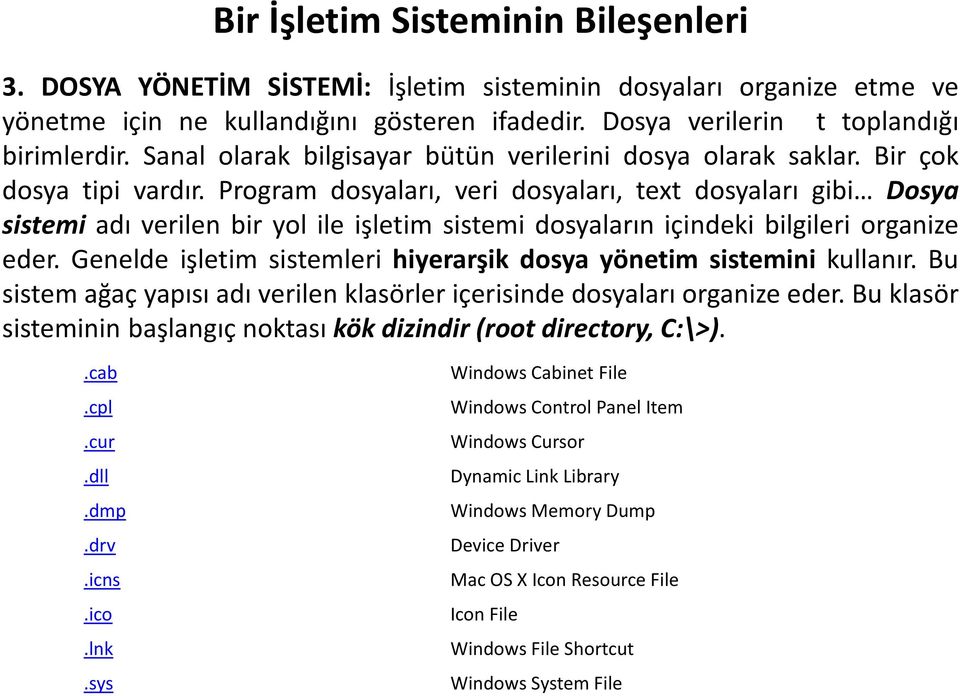 Program dosyaları, veri dosyaları, text dosyaları gibi Dosya sistemi adı verilen bir yol ile işletim sistemi dosyaların içindeki bilgileri organize eder.