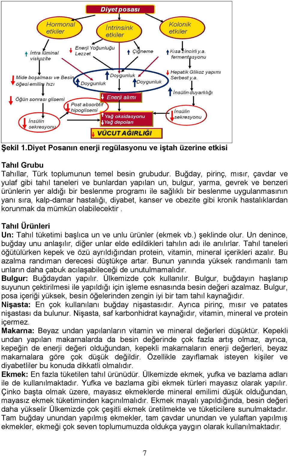 uygulanmasının yanı sıra, kalp-damar hastalığı, diyabet, kanser ve obezite gibi kronik hastalıklardan korunmak da mümkün olabilecektir.