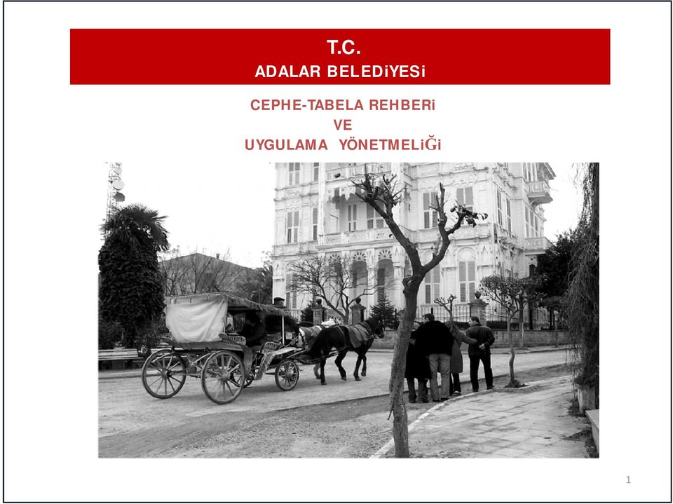 CEPHE-TABELA