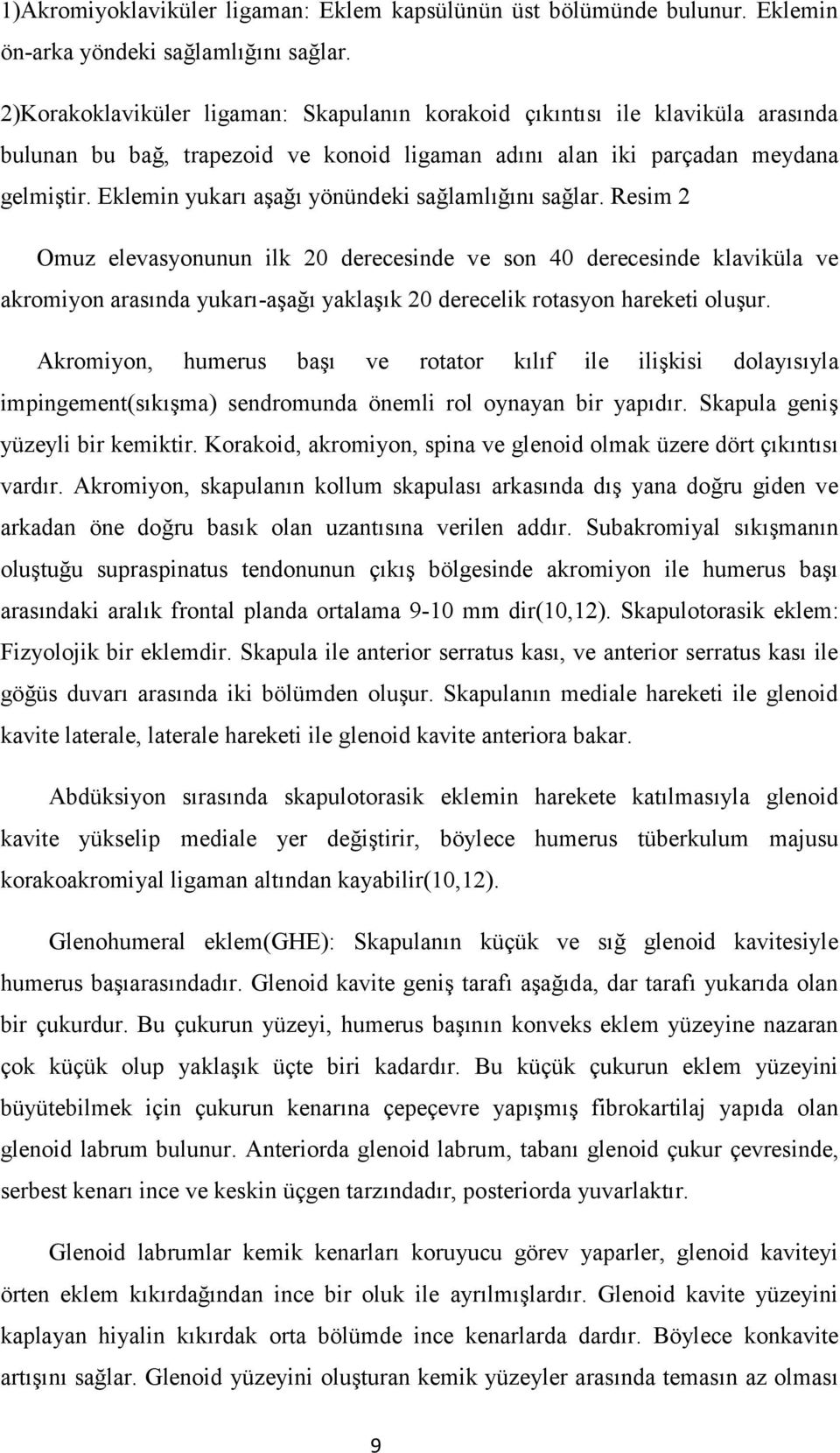 Eklemin yukarı aşağı yönündeki sağlamlığını sağlar.