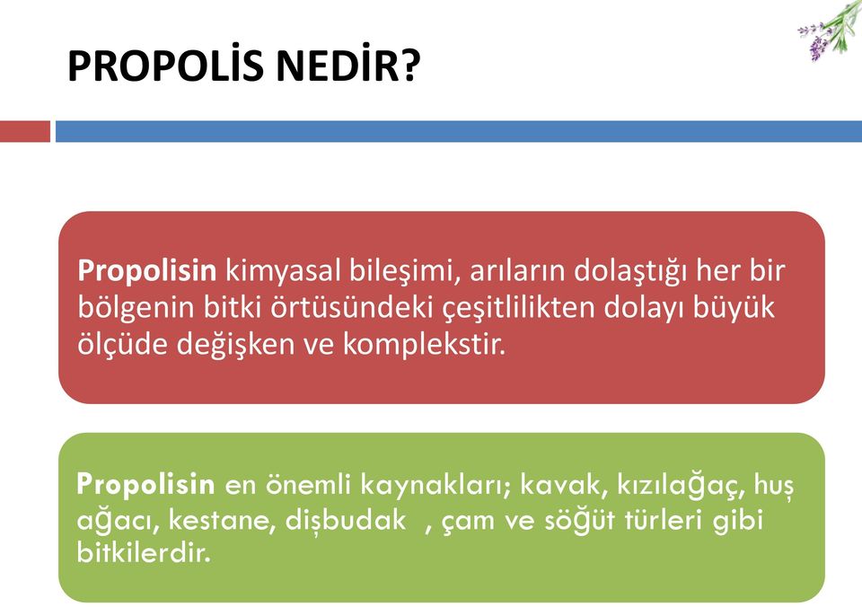 bitki örtüsündeki çeşitlilikten dolayı büyük ölçüde değişken ve