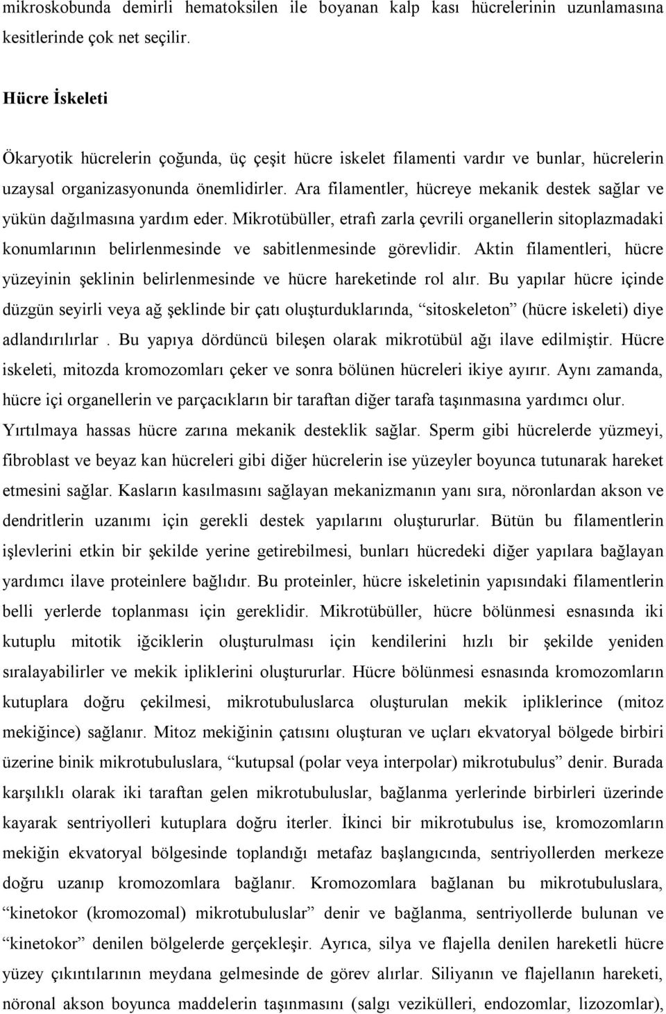 Ara filamentler, hücreye mekanik destek sağlar ve yükün dağılmasına yardım eder.