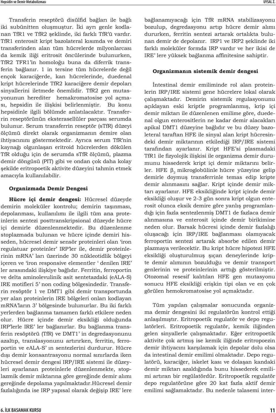 ba lanır. 1 in tersine tüm hücrelerde de il ençok karaci erde, kan hücrelerinde, duedenal kript hücrelerinde TfR2 karaci ere demir depoları sinyallerini iletmede önemlidir.