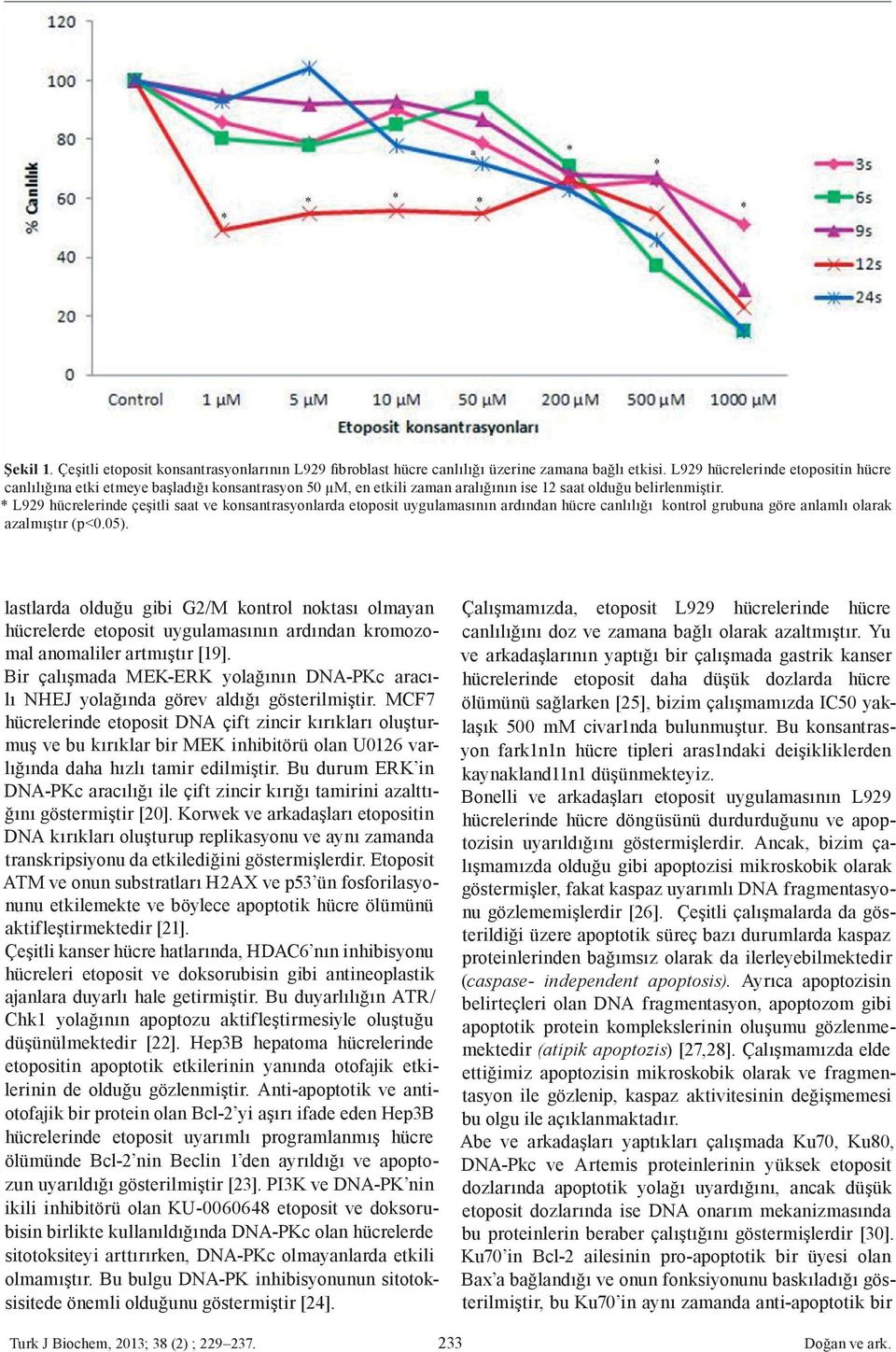 * L929 hücrelerinde çeşitli saat ve konsantrasyonlarda etoposit uygulamasının ardından hücre canlılığı kontrol grubuna göre anlamlı olarak azalmıştır (p<0.05).