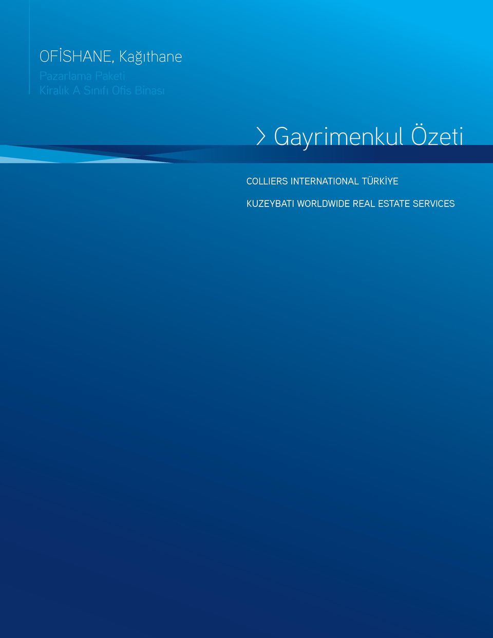 Gayrimenkul Özeti COLLIERS