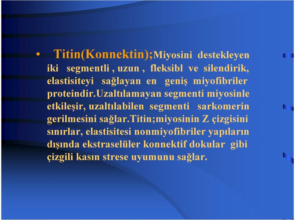 uzaltılamayan segmenti miyosinle etkileşir, uzaltılabilen segmenti sarkomerin gerilmesini sağlar.