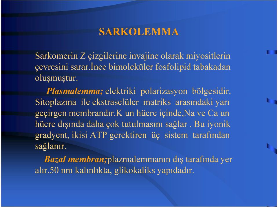 Sitoplazma ile ekstraselüler matriks arasındaki yarı geçirgen membrandır.