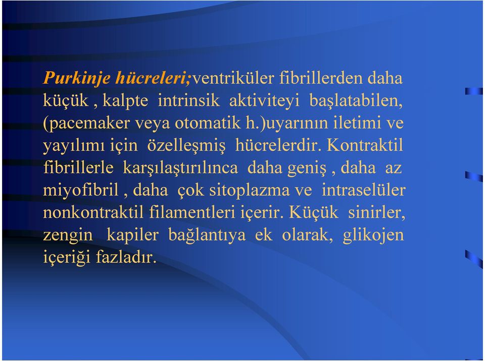 Kontraktil fibrillerle karşılaştırılınca daha geniş, daha az miyofibril, daha çok sitoplazma ve