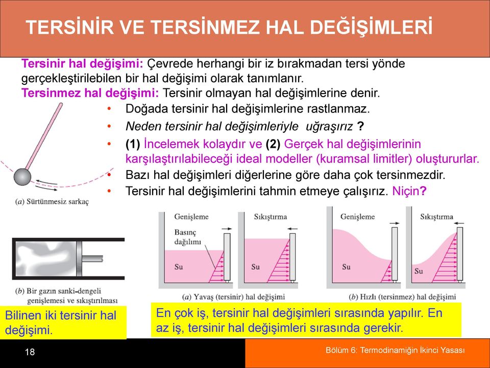 (1) İncelemek kolaydır ve (2) Gerçek hal değişimlerinin karşılaştırılabileceği ideal modeller (kuramsal limitler) oluştururlar.