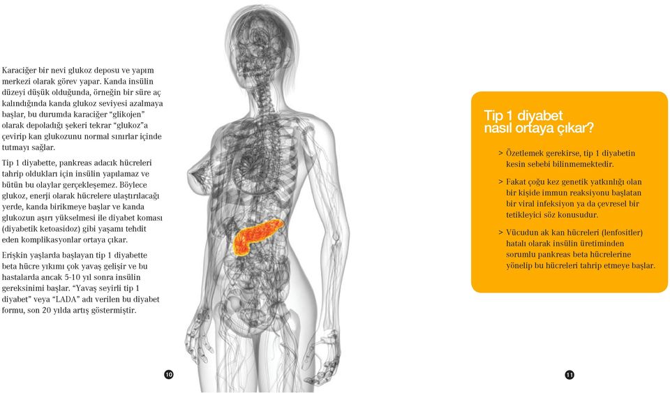 glukozunu normal sınırlar içinde tutmayı sağlar. Tip 1 diyabette, pankreas adacık hücreleri tahrip oldukları için insülin yapılamaz ve bütün bu olaylar gerçekleşemez.