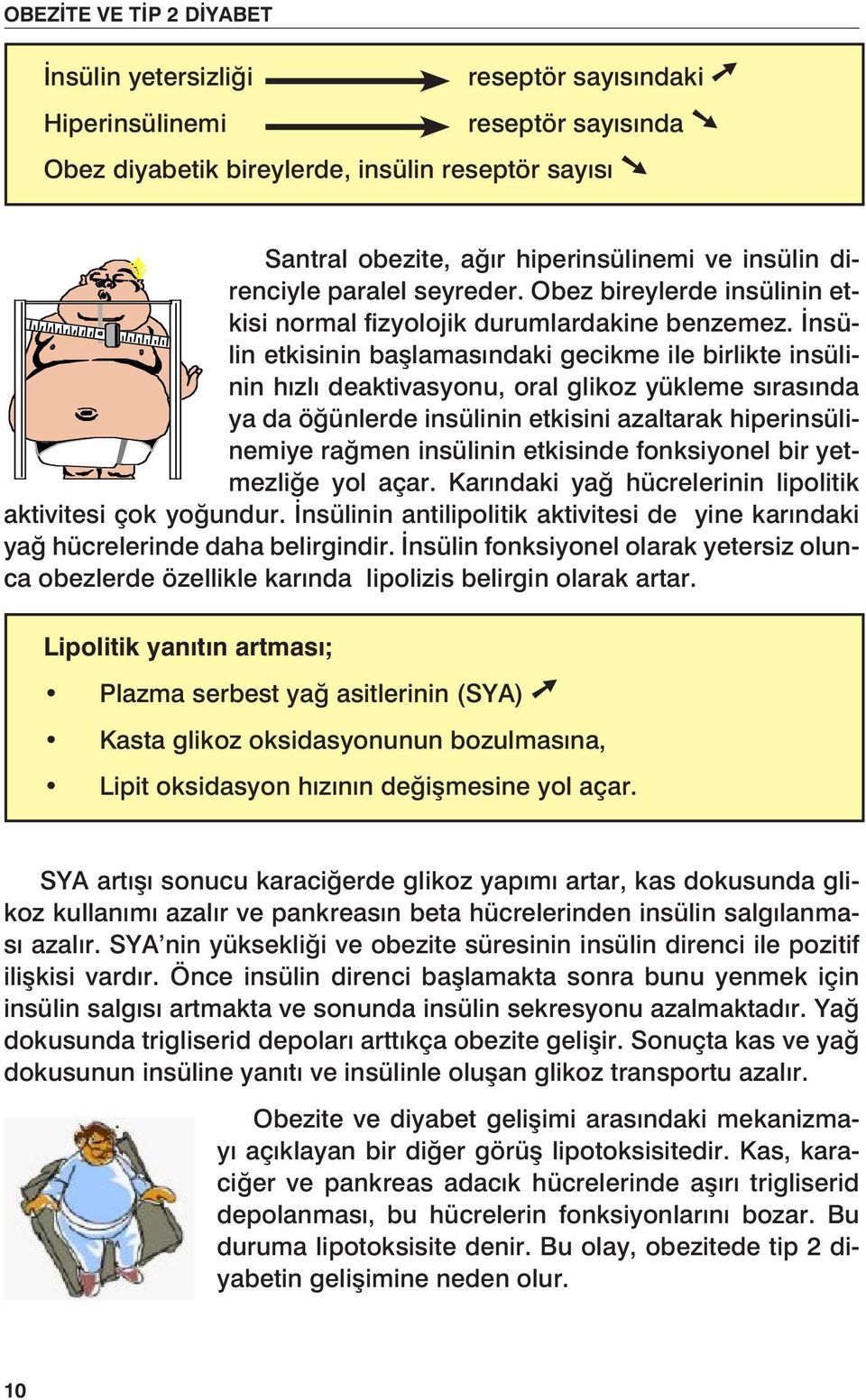 İnsülin etkisinin başlamasındaki gecikme ile birlikte insülinin hızlı deaktivasyonu, oral glikoz yükleme sırasında ya da öğünlerde insülinin etkisini azaltarak hiperinsülinemiye rağmen insülinin