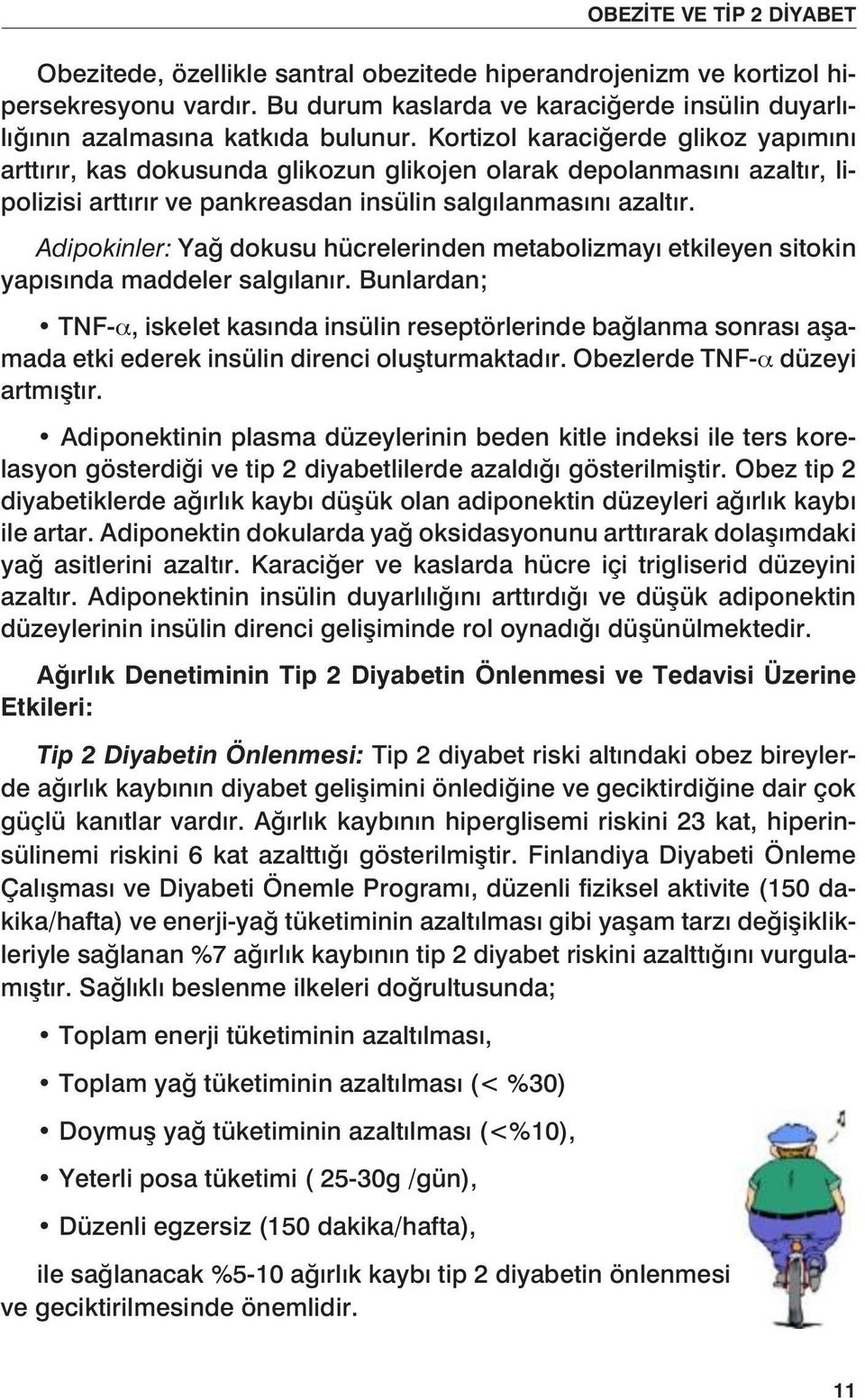 Adipokinler: Yağ dokusu hücrelerinden metabolizmayı etkileyen sitokin yapısında maddeler salgılanır.